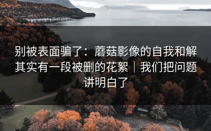 别被表面骗了:蘑菇影像的自我和解其实有一段被删的花絮|我们把问题讲明白了 第1张 别被表面骗了:蘑菇影像的自我和解其实有一段被删的花絮|我们把问题讲明白了 第1张