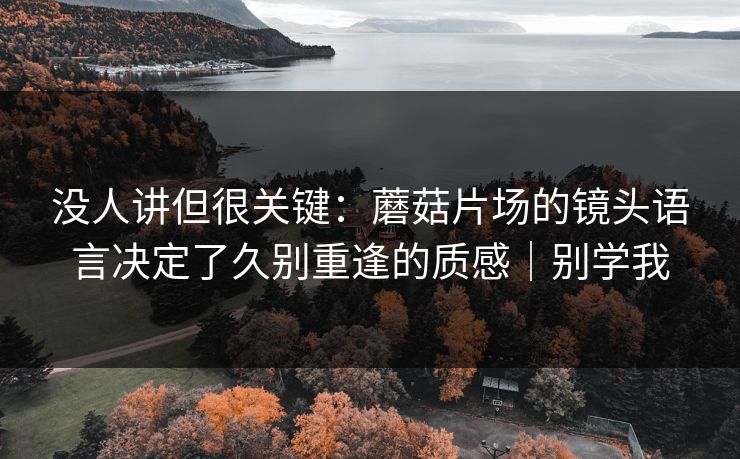 没人讲但很关键:蘑菇片场的镜头语言决定了久别重逢的质感|别学我 第1张 没人讲但很关键:蘑菇片场的镜头语言决定了久别重逢的质感|别学我 第1张