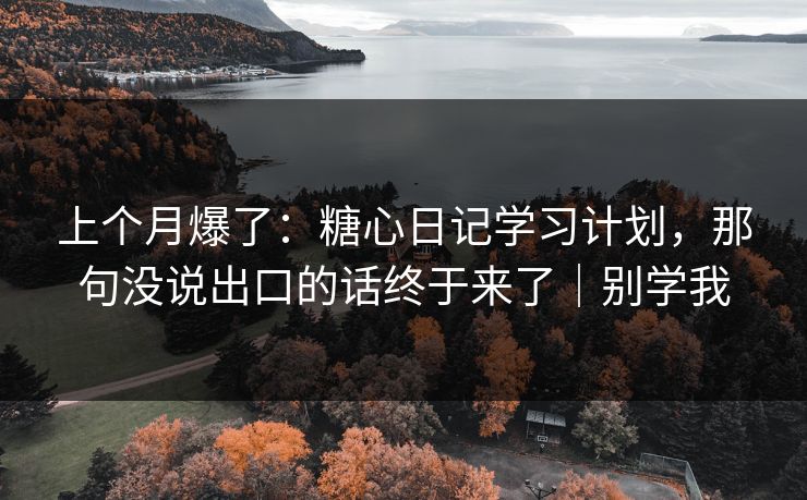 上个月爆了:糖心日记学习计划,那句没说出口的话终于来了|别学我 上个月爆了:糖心日记学习计划,那句没说出口的话终于来了|别学我