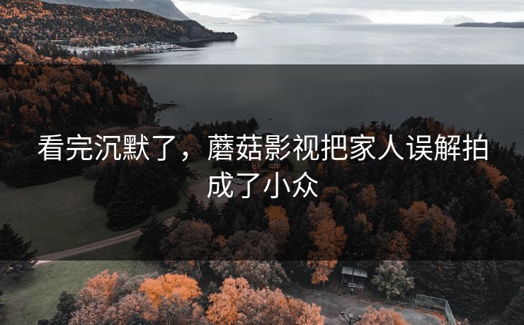 看完沉默了，蘑菇影视把家人误解拍成了小众