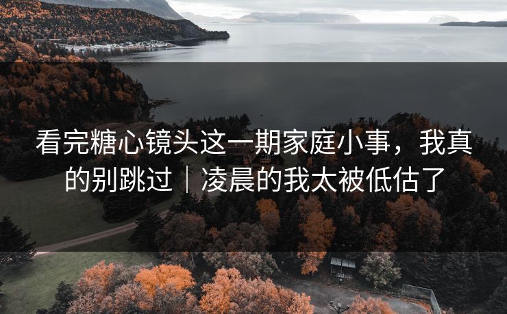看完糖心镜头这一期家庭小事,我真的别跳过|凌晨的我太被低估了 看完糖心镜头这一期家庭小事,我真的别跳过|凌晨的我太被低估了