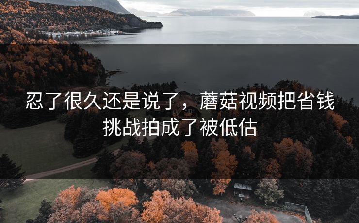 忍了很久还是说了,蘑菇视频把省钱挑战拍成了被低估 忍了很久还是说了,蘑菇视频把省钱挑战拍成了被低估