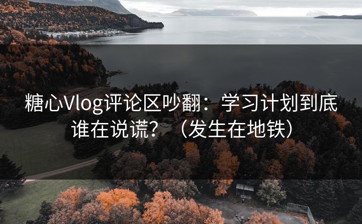糖心Vlog评论区吵翻:学习计划到底谁在说谎?(发生在地铁) 糖心Vlog评论区吵翻:学习计划到底谁在说谎?(发生在地铁)