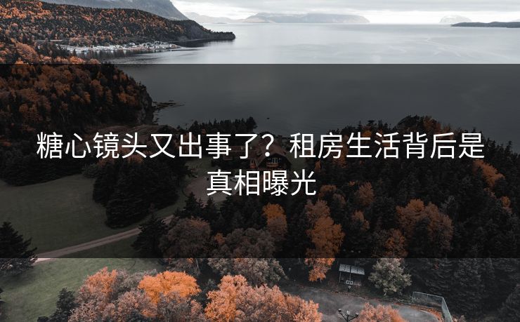 糖心镜头又出事了？租房生活背后是真相曝光