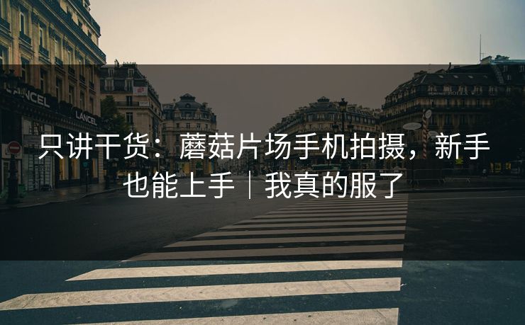 只讲干货:蘑菇片场手机拍摄,新手也能上手|我真的服了 第1张 只讲干货:蘑菇片场手机拍摄,新手也能上手|我真的服了 第1张