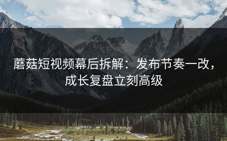 蘑菇短视频幕后拆解：发布节奏一改，成长复盘立刻高级  第1张