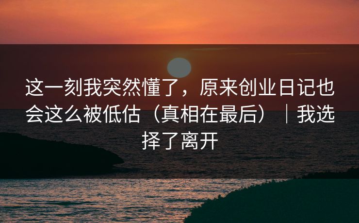 这一刻我突然懂了,原来创业日记也会这么被低估(真相在最后)|我选择了离开 第1张 这一刻我突然懂了,原来创业日记也会这么被低估(真相在最后)|我选择了离开 第1张