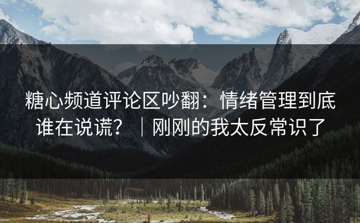 糖心频道评论区吵翻:情绪管理到底谁在说谎?|刚刚的我太反常识了 第1张 糖心频道评论区吵翻:情绪管理到底谁在说谎?|刚刚的我太反常识了 第1张