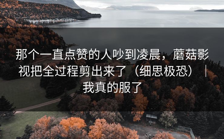 那个一直点赞的人吵到凌晨,蘑菇影视把全过程剪出来了(细思极恐)|我真的服了 第1张 那个一直点赞的人吵到凌晨,蘑菇影视把全过程剪出来了(细思极恐)|我真的服了 第1张