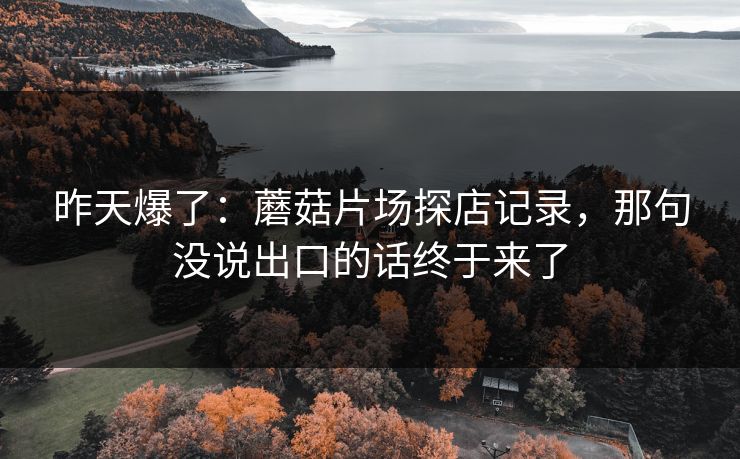昨天爆了:蘑菇片场探店记录,那句没说出口的话终于来了 第1张 昨天爆了:蘑菇片场探店记录,那句没说出口的话终于来了 第1张